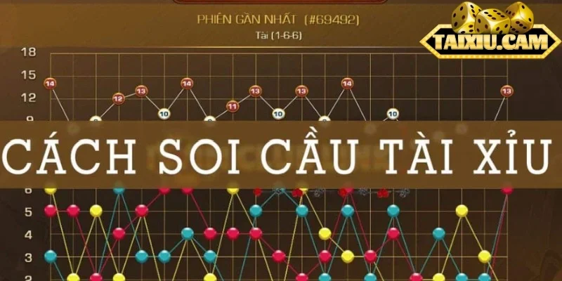 Bí kíp cá cược bất bại từ chuyên gia