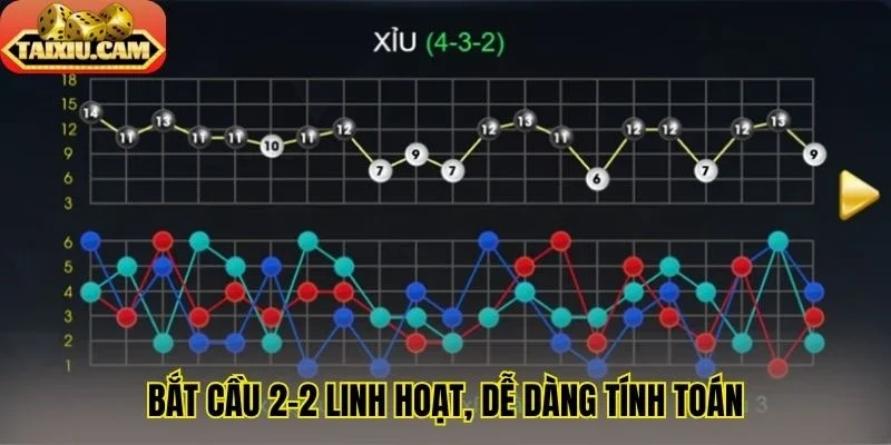 Bắt cầu 2-2 linh hoạt, dễ dàng tính toán
