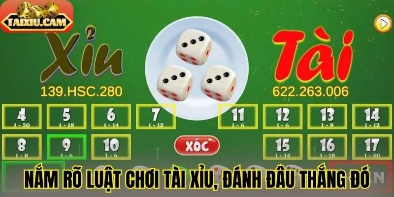 Nắm rõ luật chơi tài xỉu, đánh đâu thắng đó