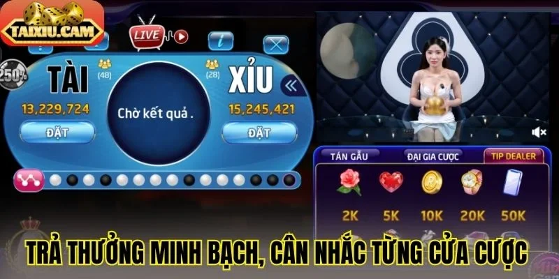 Trả thưởng minh bạch, cân nhắc từng cửa cược