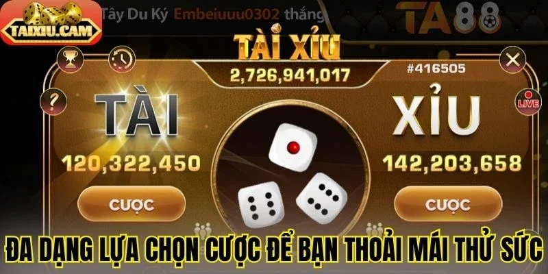 Đa dạng lựa chọn cược để bạn thoải mái thử sức
