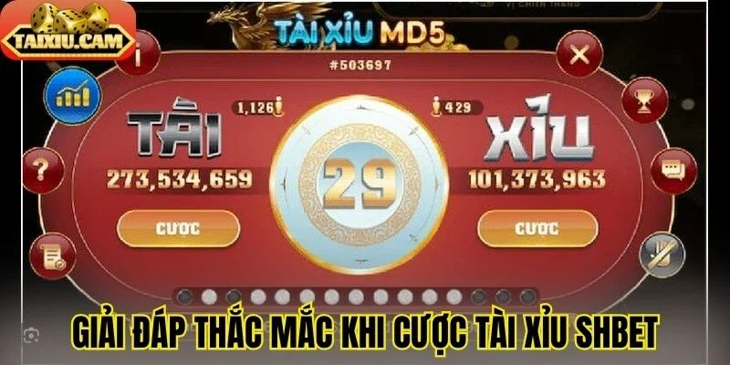 Giải đáp thắc mắc khi cược tài xỉu SHBet